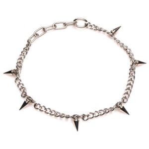 YourPrivateLife.nl - Punk Spiked Ketting - Zilver van Master Series